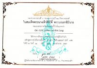 Royal Thai Army Pistol badges vom Leibbataillon -Tigerbataillon -des Königs von Thailand